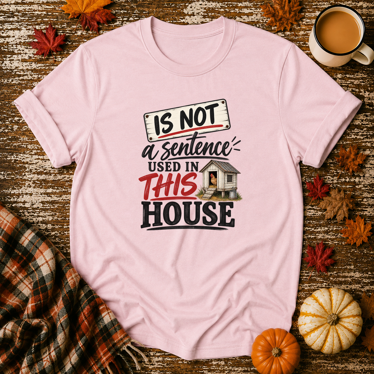 Is Not Used In This House T-Shirt in Light Pink on Shady Hen Mercantile Fall mockup