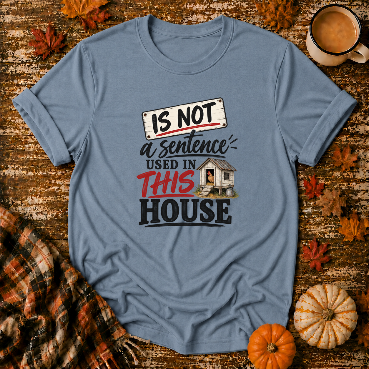 Is Not Used In This House T-Shirt in Stone Blue on Shady Hen Mercantile Fall mockup